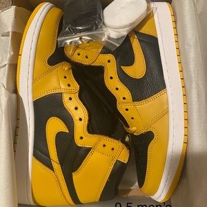 Jordan Retro pollens